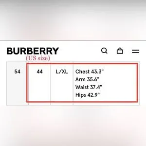 Burberry Trench Coat - Main Image